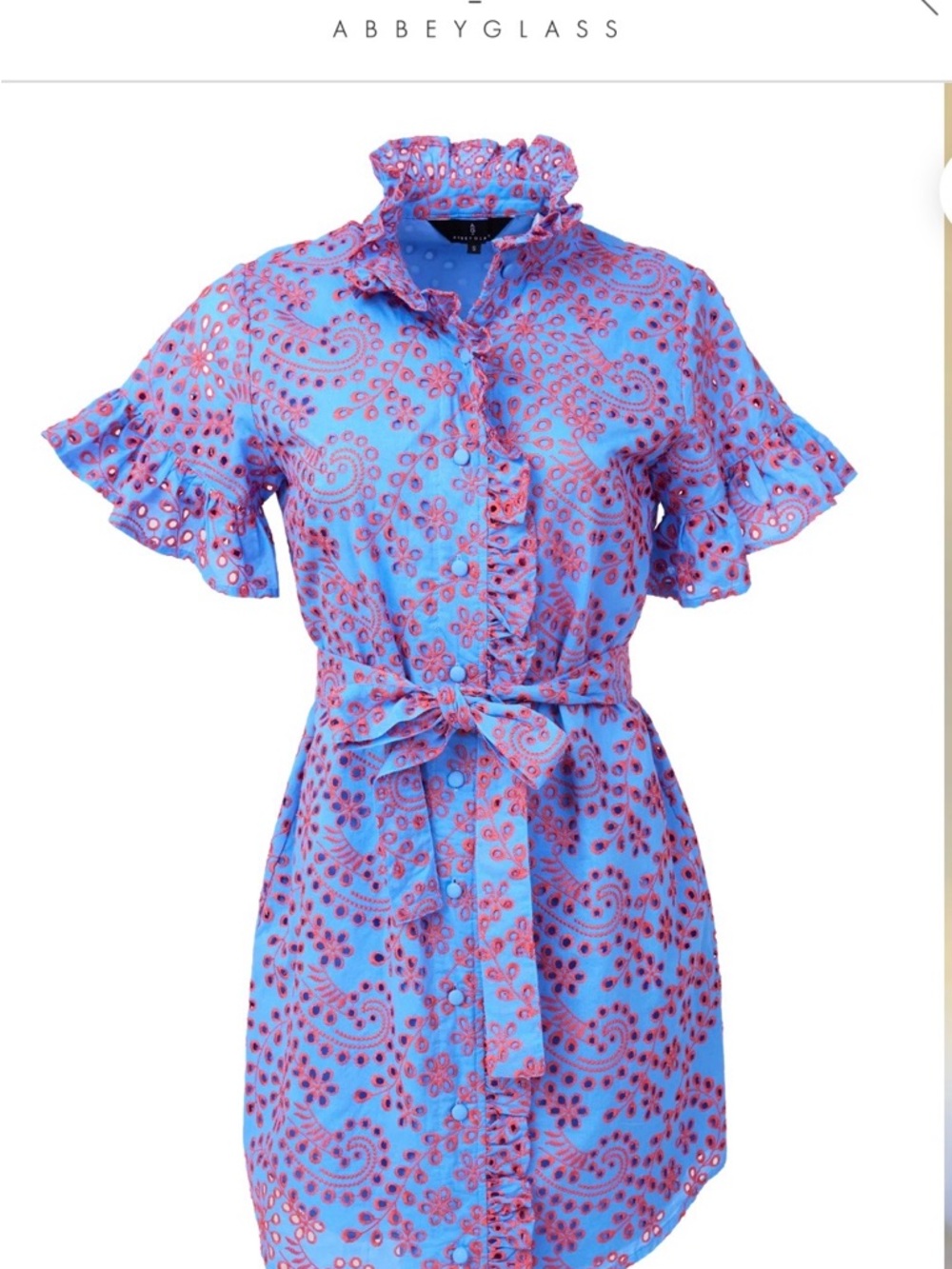 Teal Eyelet Ruffle Mini Dress with Self-Tie Waist - Picture 6 of 6